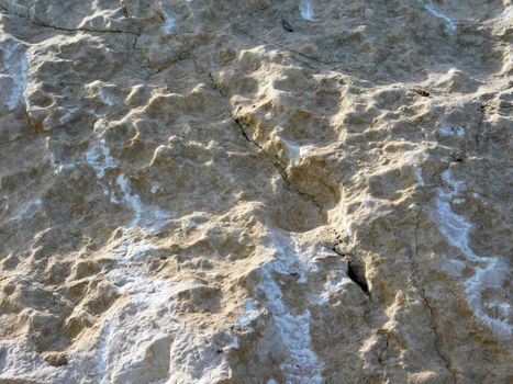 stone texture
