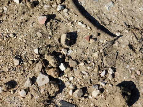 earth texture