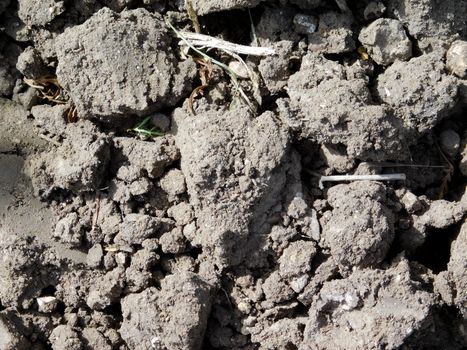 earth texture