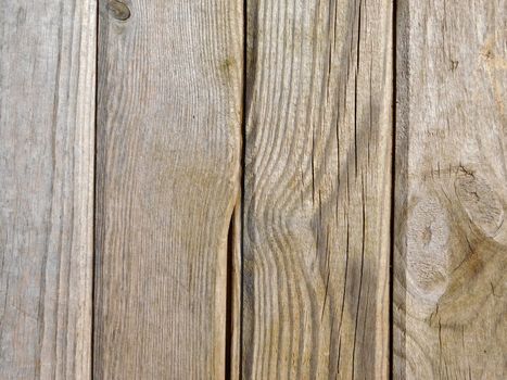 wood texture