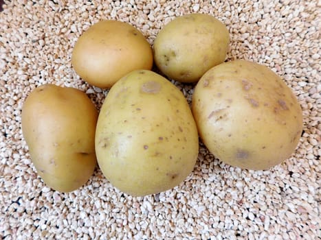 potatoes