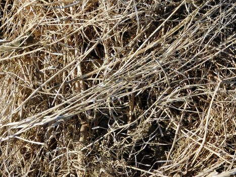 straw texture