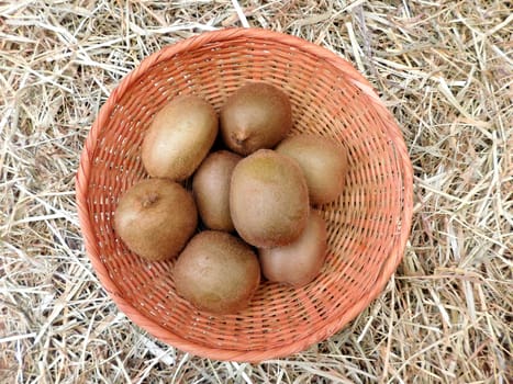 Kiwi
