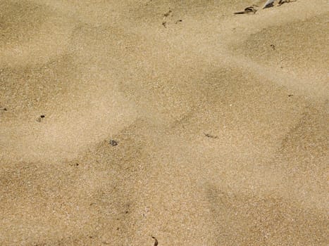 sand texture
