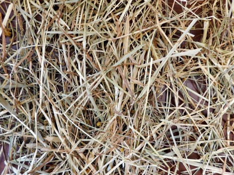 straw texture