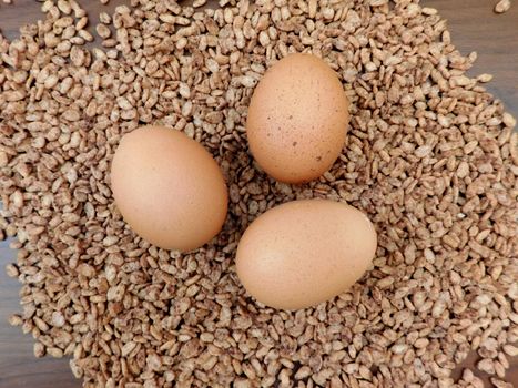 eggs