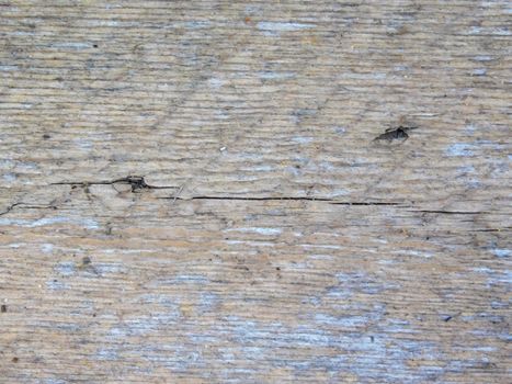 wood texture
