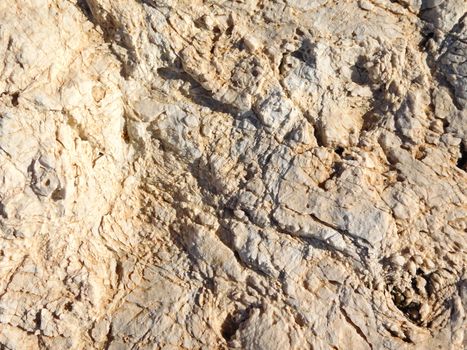 stone texture