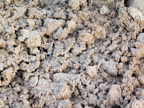 earth texture