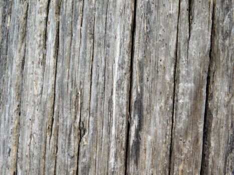 wood texture