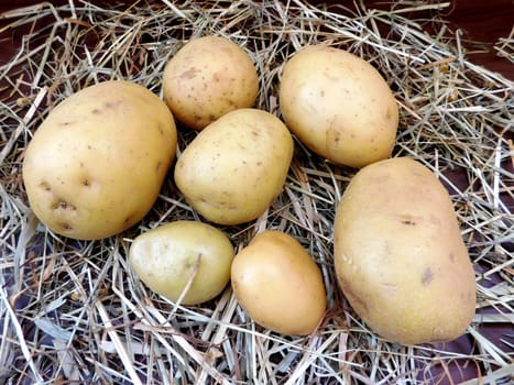 potatoes