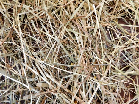 straw texture