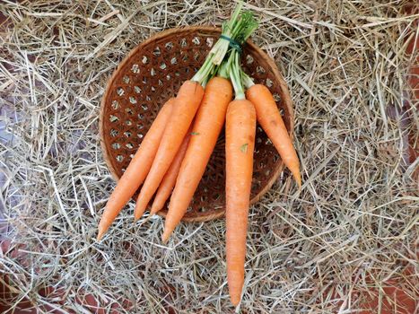 carrots