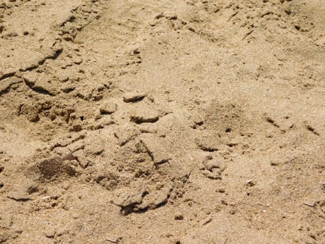 sand texture