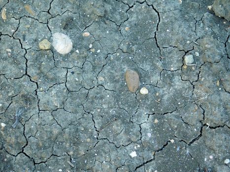dry land texture