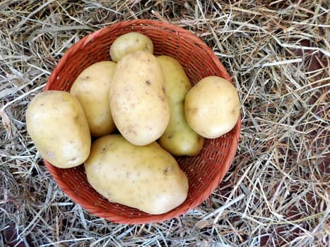 potatoes