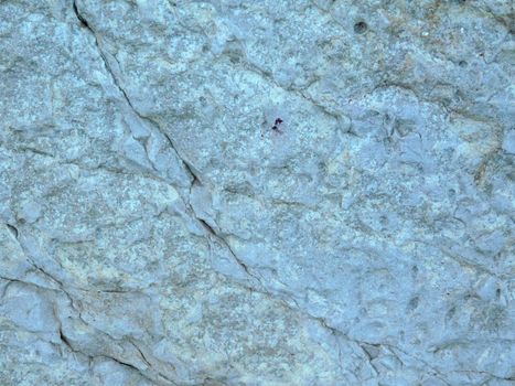 marble texture