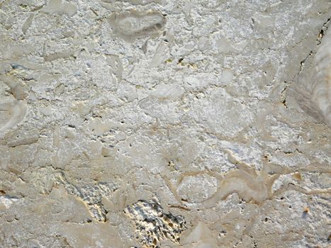 marble texture