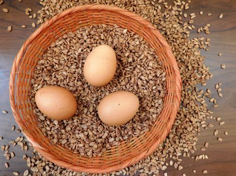 eggs