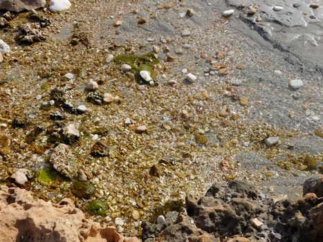 sea pebbles