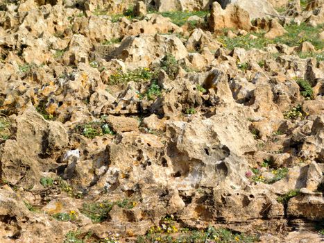 stone texture