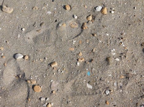 sand texture