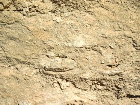stone texture