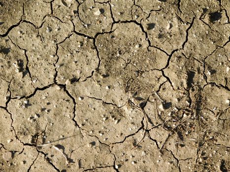 dry land texture