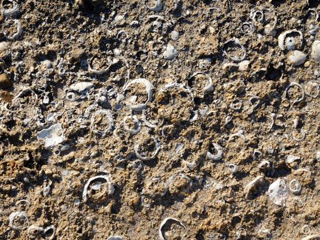 stone texture