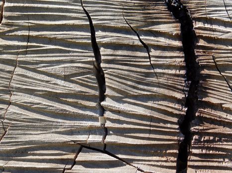 wood texture