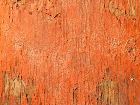 wood texture