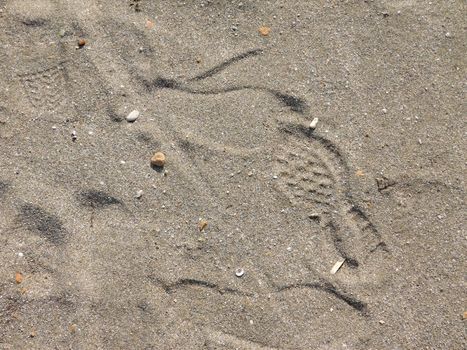 sand texture