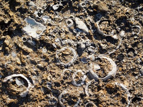 stone texture