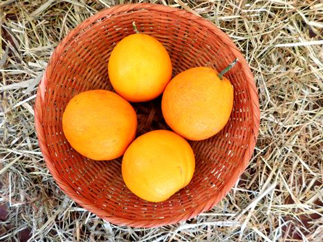 oranges
