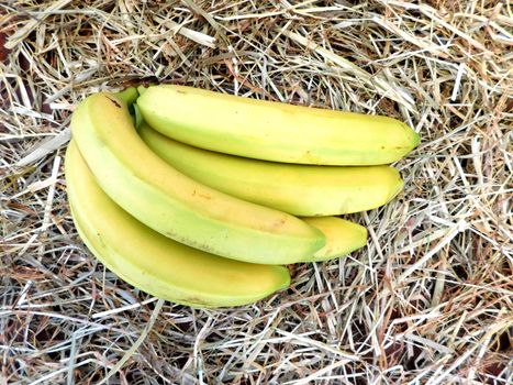 bananas