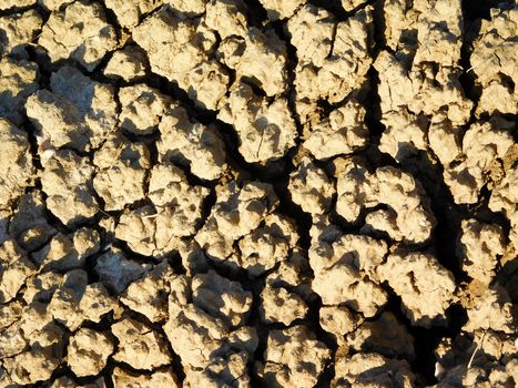 dry land texture