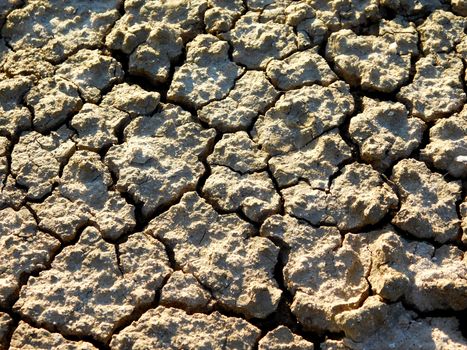 dry land texture