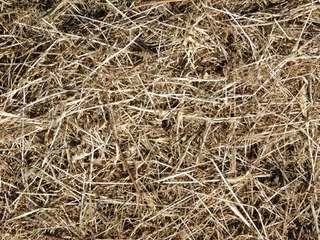 straw texture