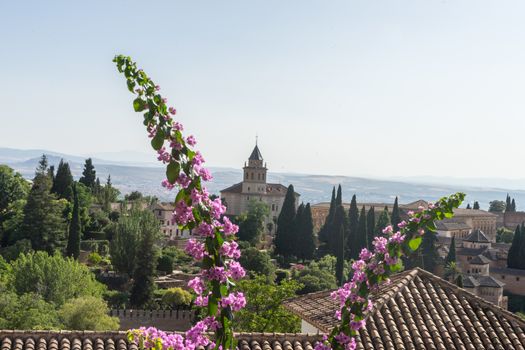 View of the bell tower of the Alhambra  from the Generalife gardens in Granada, Spain, Europe on a bright summer day