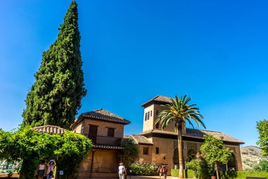 El Partal. A large tree stands next to the Tower of the Ladies, inside the Alhambra of Granada, Andalusia, Spain, Europe on a bright sunny day with clear blue sky