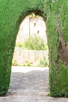 An arch at the Alhambra gardens in Granada, Spain, Europe on a bright summer day