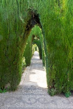 An arch at the Alhambra gardens in Granada, Spain, Europe on a bright summer day