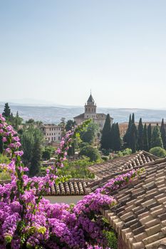 View of the bell tower of the Alhambra  from the Generalife gardens in Granada, Spain, Europe on a bright summer day