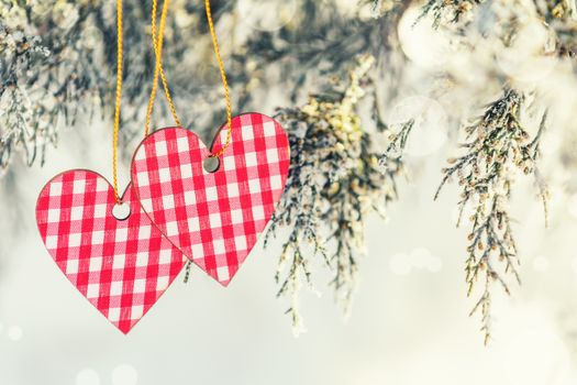 Beautiful valentine holiday background with two checkered hearts on thuja cypress tree branches covered with hoarfrost, white snow surface.