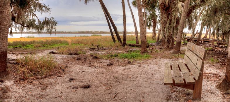 Bench at overlooking the wetland and marsh at the Myakka River State Park in Sarasota, Florida, USA