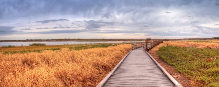 Boardwalk along the wetland and marsh at the Myakka River State Park in Sarasota, Florida, USA