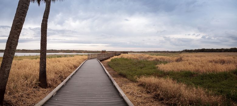 Boardwalk along the wetland and marsh at the Myakka River State Park in Sarasota, Florida, USA