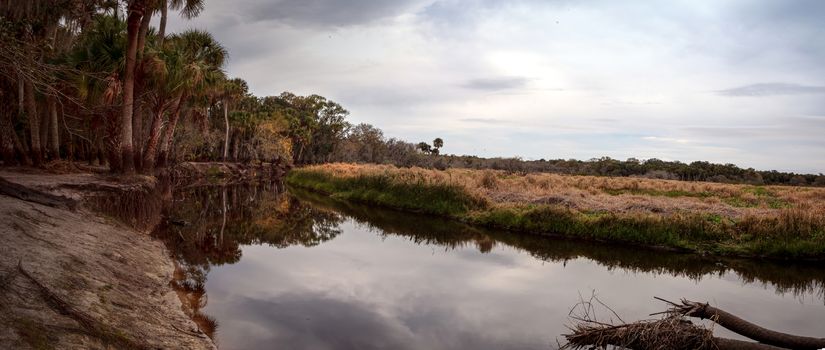 Wetland and marsh at the Myakka River State Park in Sarasota, Florida, USA