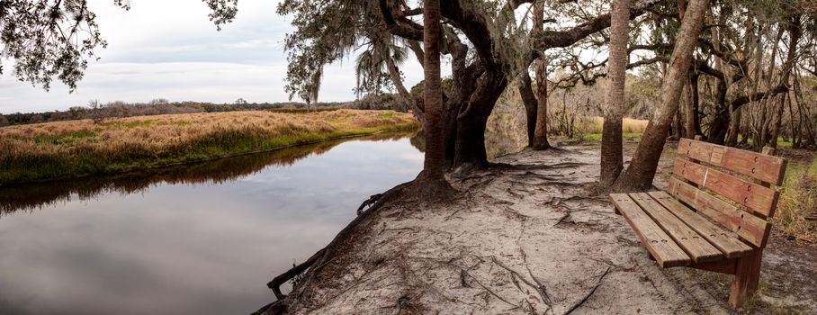 Wetland and marsh at the Myakka River State Park in Sarasota, Florida, USA