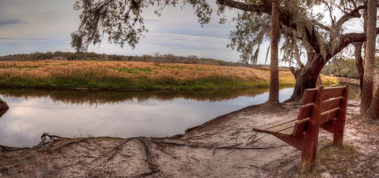 Wetland and marsh at the Myakka River State Park in Sarasota, Florida, USA